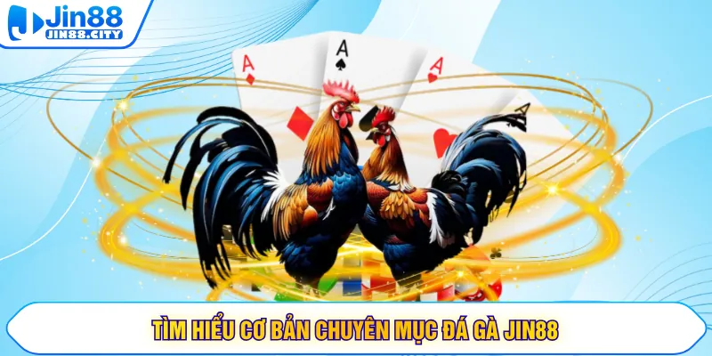 Tìm hiểu cơ bản chuyên mục đá gà JIN88